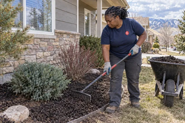 Worker spreading mulch around shrubs in a residential landscape bed